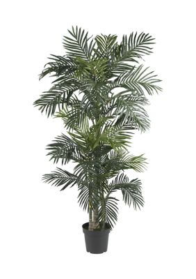 6.5-Foot Golden Cane Palm Silk Tree