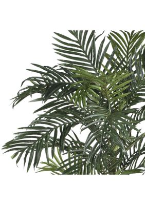 6.5-Foot Golden Cane Palm Silk Tree