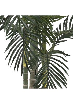 6.5-Foot Golden Cane Palm Silk Tree