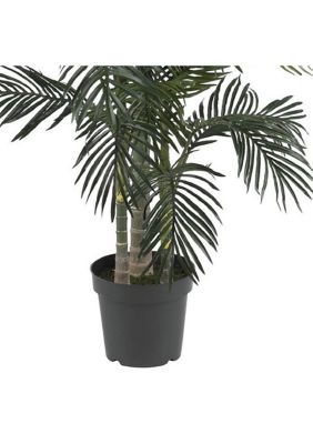 6.5-Foot Golden Cane Palm Silk Tree