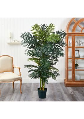 6.5-Foot Golden Cane Palm Silk Tree