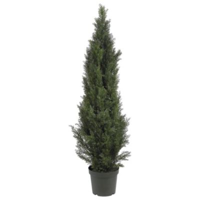 5-Foot Mini Cedar Pine Tree (Indoor/Outdoor)