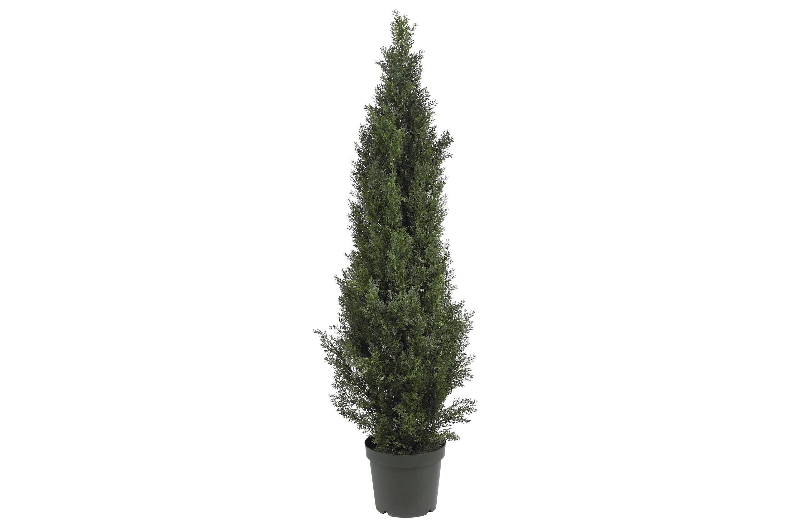5-Foot Mini Cedar Pine Tree (Indoor/Outdoor)