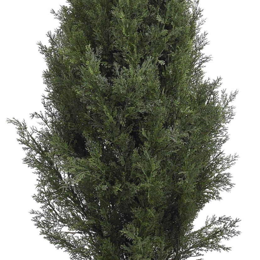 5-Foot Mini Cedar Pine Tree (Indoor/Outdoor)