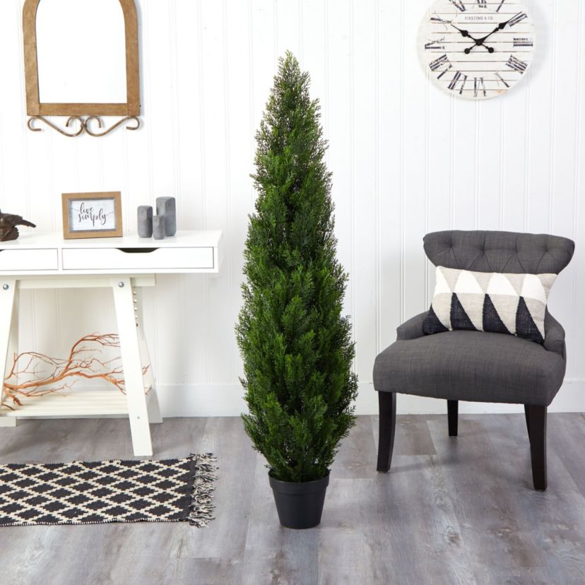 5-Foot Mini Cedar Pine Tree (Indoor/Outdoor)
