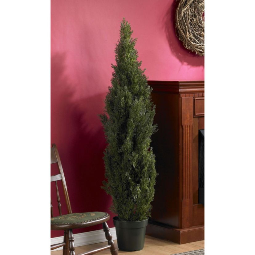 5-Foot Mini Cedar Pine Tree (Indoor/Outdoor)