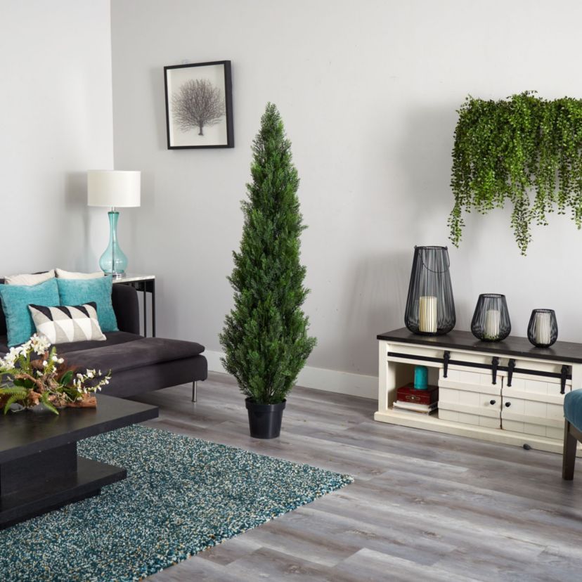 6 Mini Cedar Pine Tree - Indoor and Outdoor