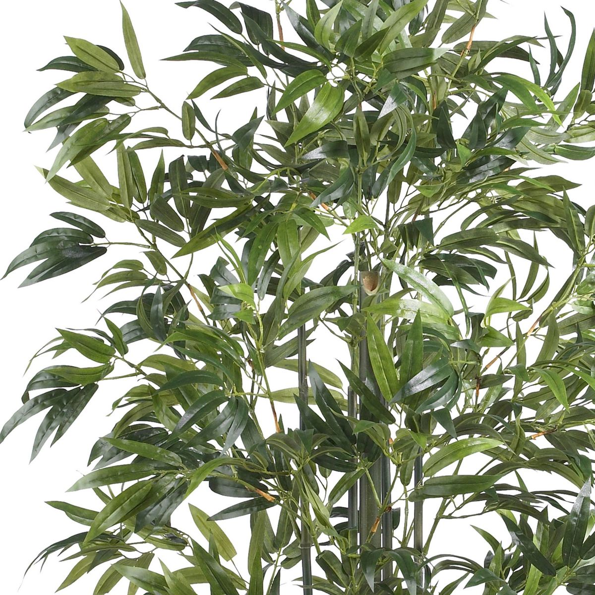 6 Bamboo Silk Tree - Green Trunks