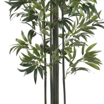 6' Bamboo Silk Tree - Green Trunks