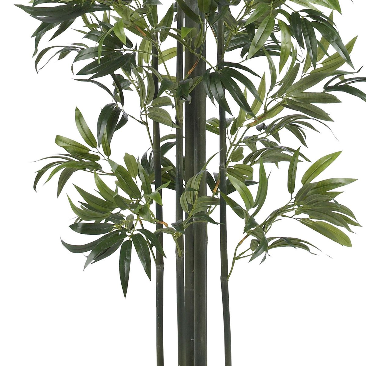 6 Bamboo Silk Tree - Green Trunks
