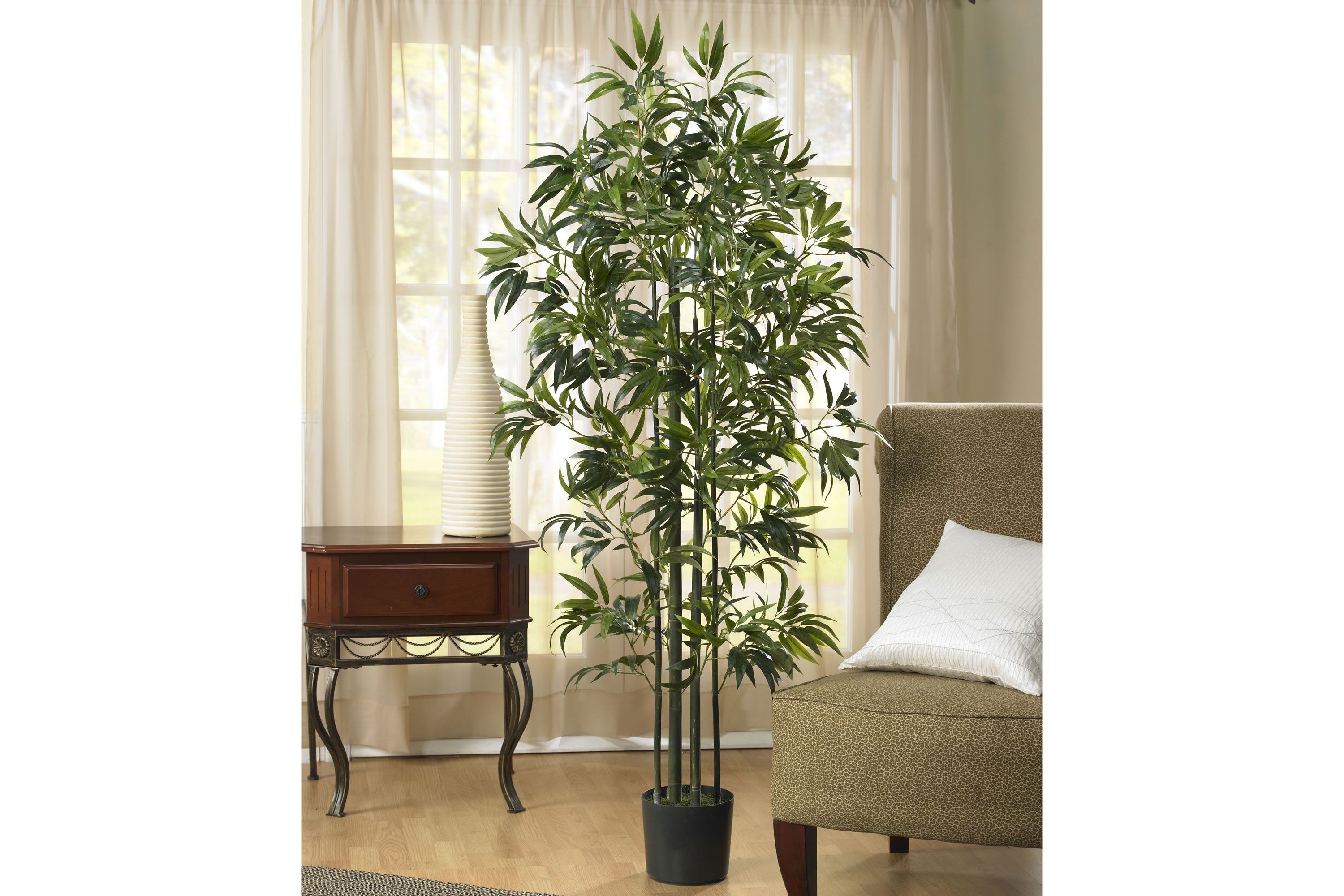 6 Bamboo Silk Tree - Green Trunks