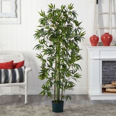 6' Bamboo Silk Tree - Green Trunks