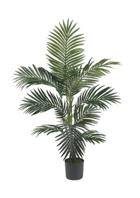 4-Foot Kentia Palm Silk Tree