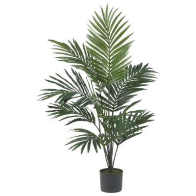 5-Foot Kentia Palm Silk Tree