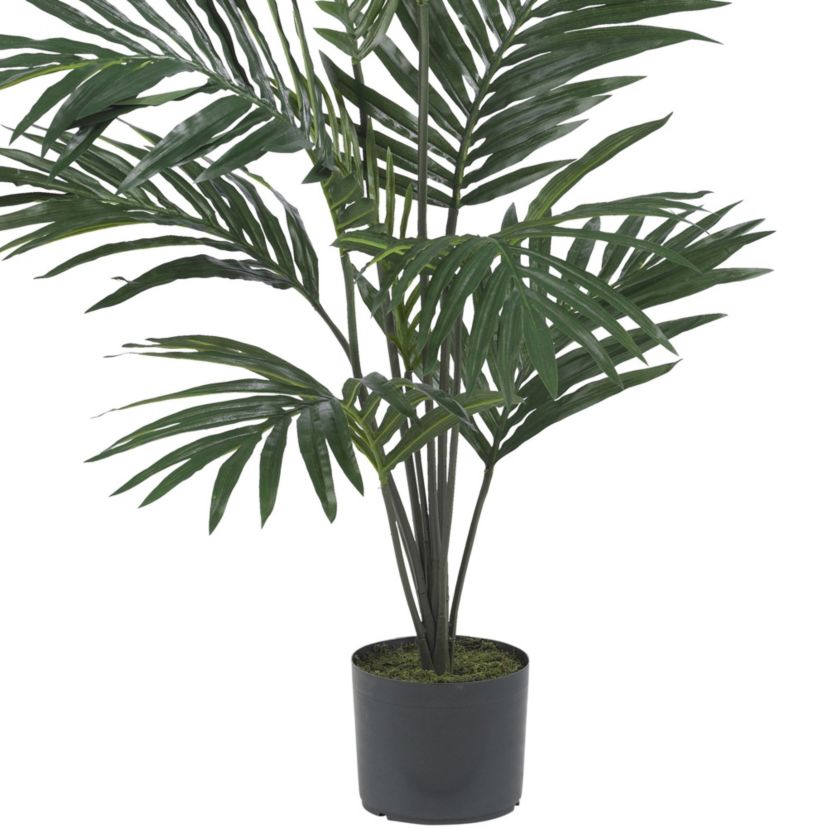 5-Foot Kentia Palm Silk Tree