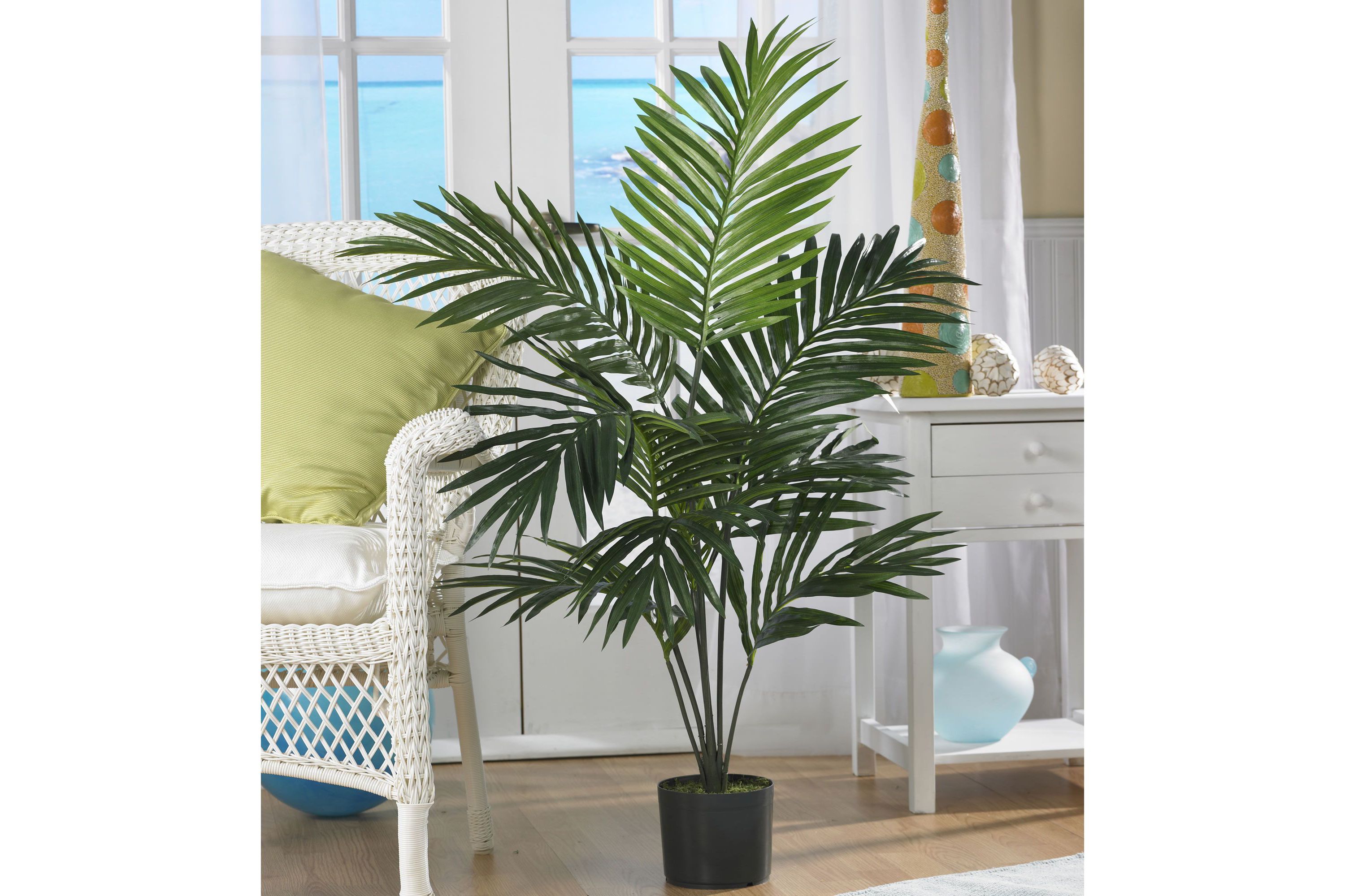 5-Foot Kentia Palm Silk Tree