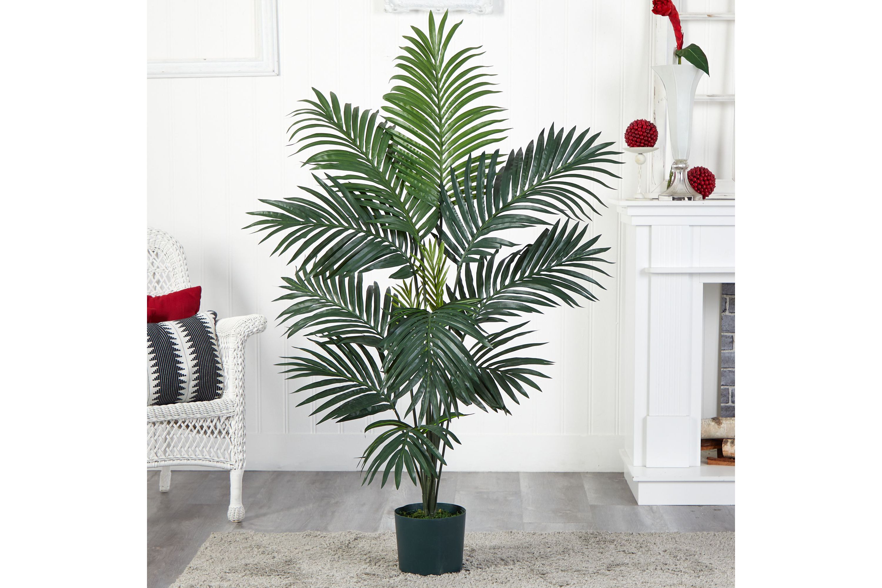5-Foot Kentia Palm Silk Tree