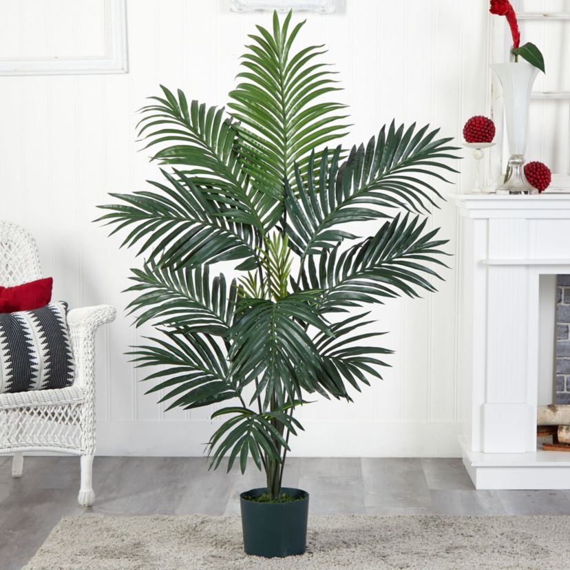 5-Foot Kentia Palm Silk Tree