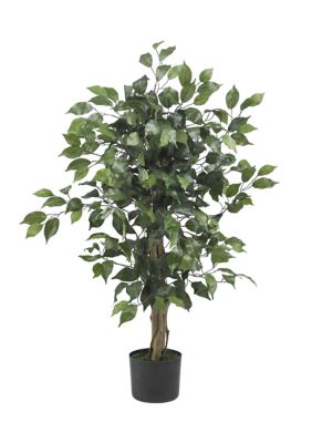 3-Foot Ficus Silk Tree