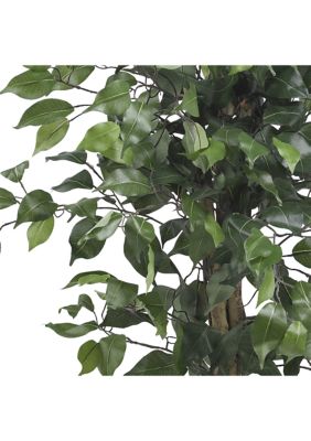 3-Foot Ficus Silk Tree