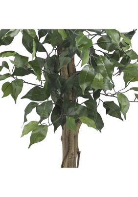 3-Foot Ficus Silk Tree