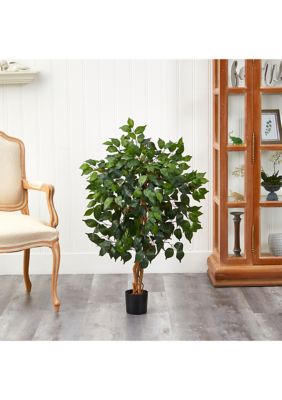 3-Foot Ficus Silk Tree