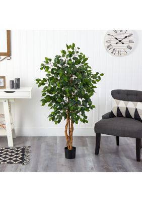 4-Foot Ficus Silk Tree