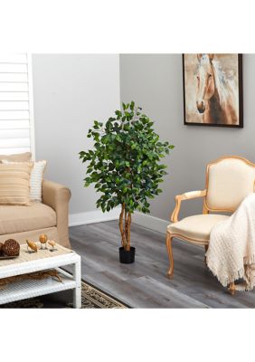 4-Foot Ficus Silk Tree