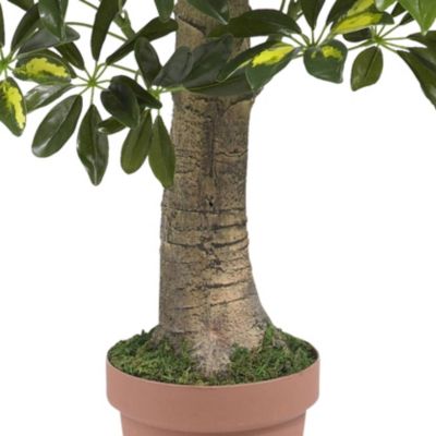 4 Foot Schefflera Silk Tree (Real Touch)