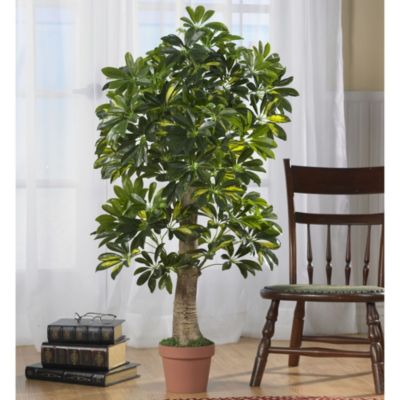 4 Foot Schefflera Silk Tree (Real Touch)