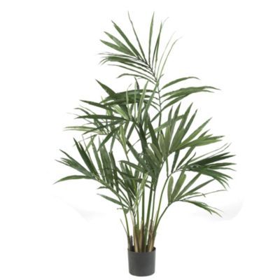 5 Foot Kentia Palm Silk Tree