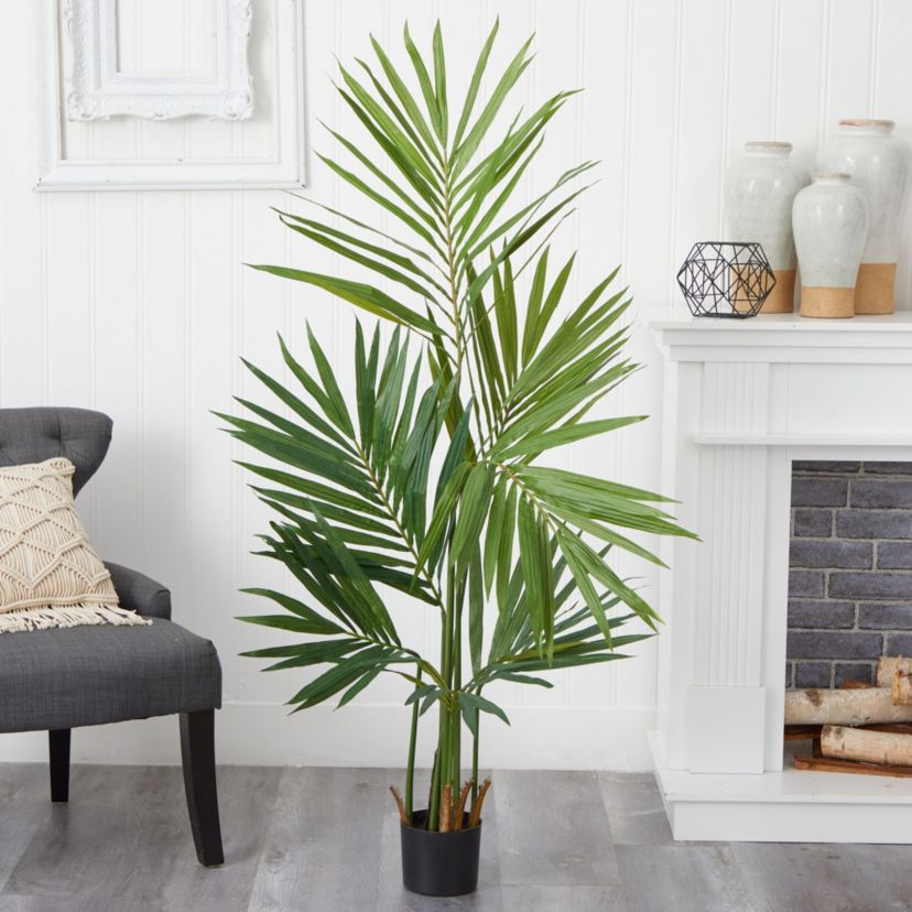 5 Foot Kentia Palm Silk Tree