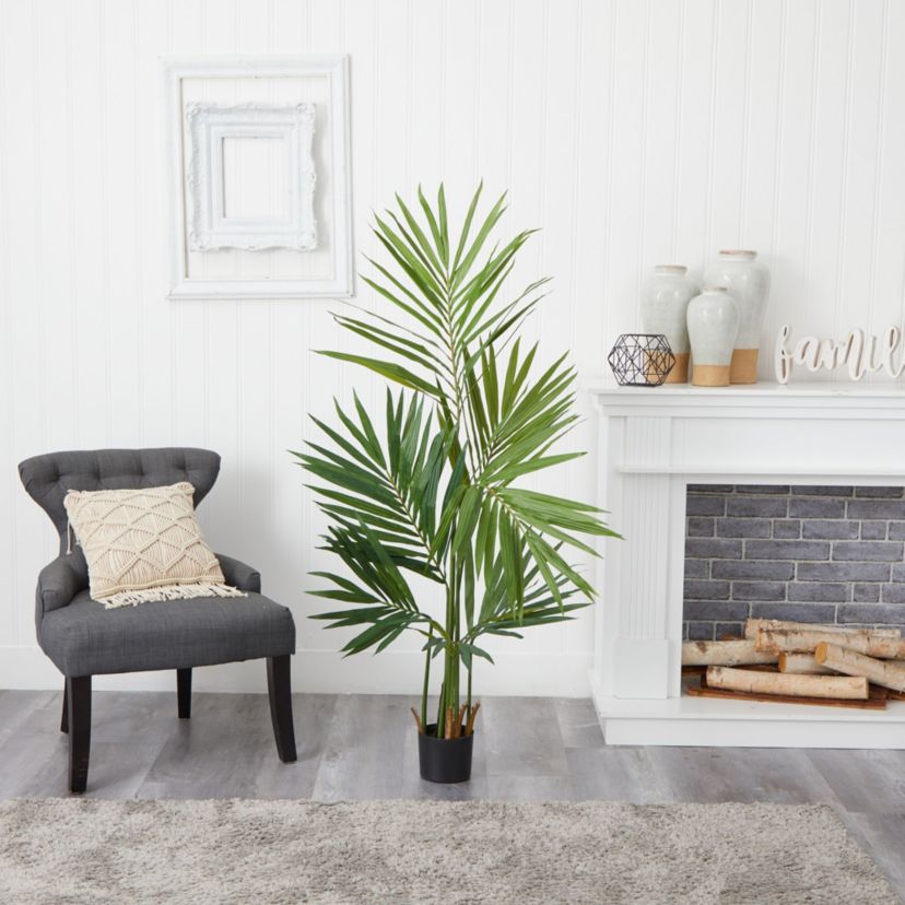 5 Foot Kentia Palm Silk Tree