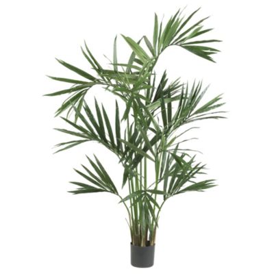 Nearly Natural 6' Kentia Palm Silk Tree, Green