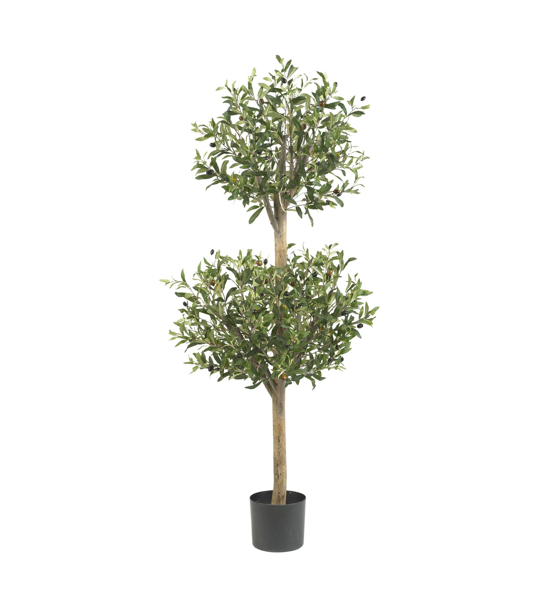 4.5 Olive Double Topiary Silk Tree