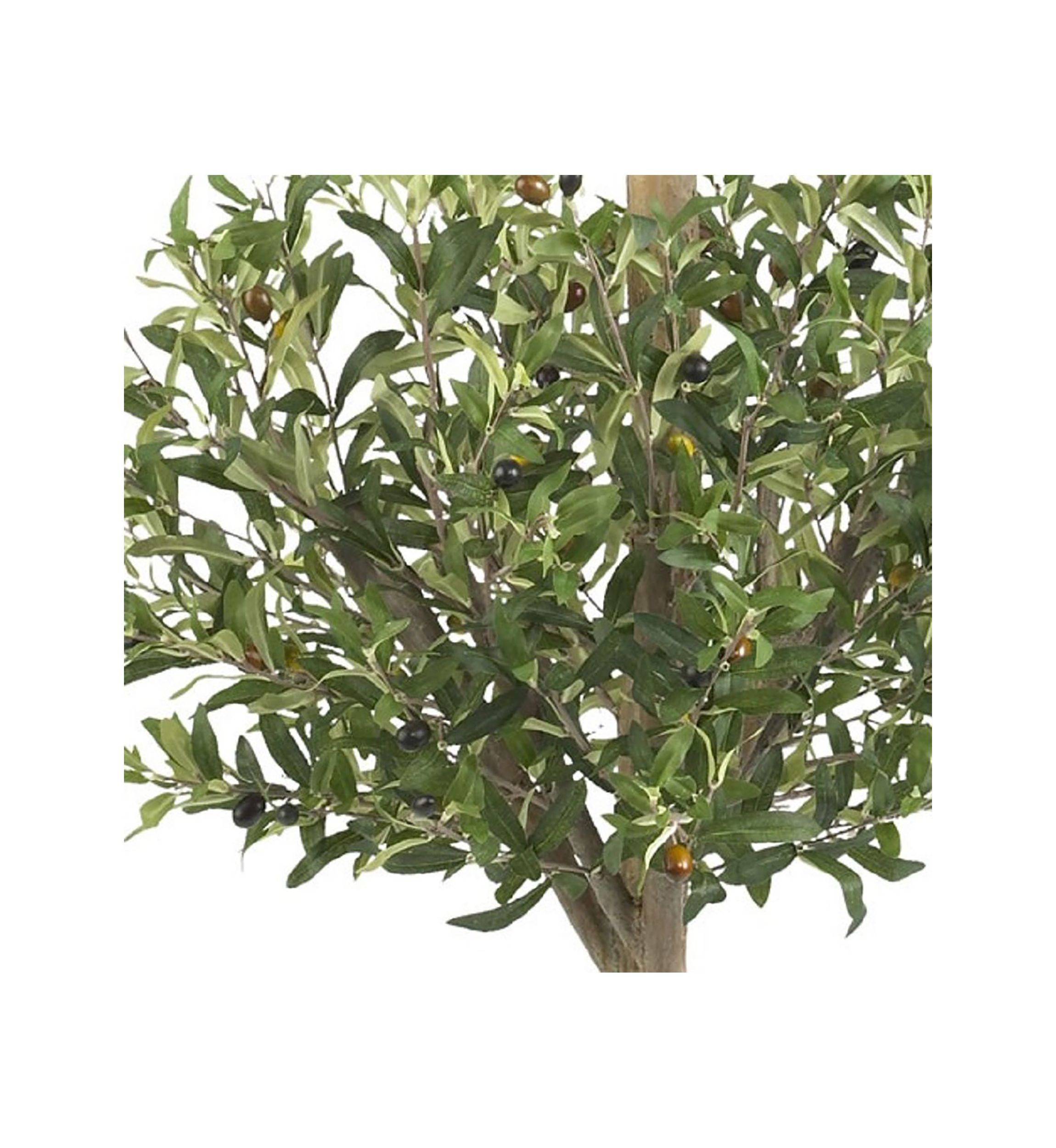 4.5 Olive Double Topiary Silk Tree