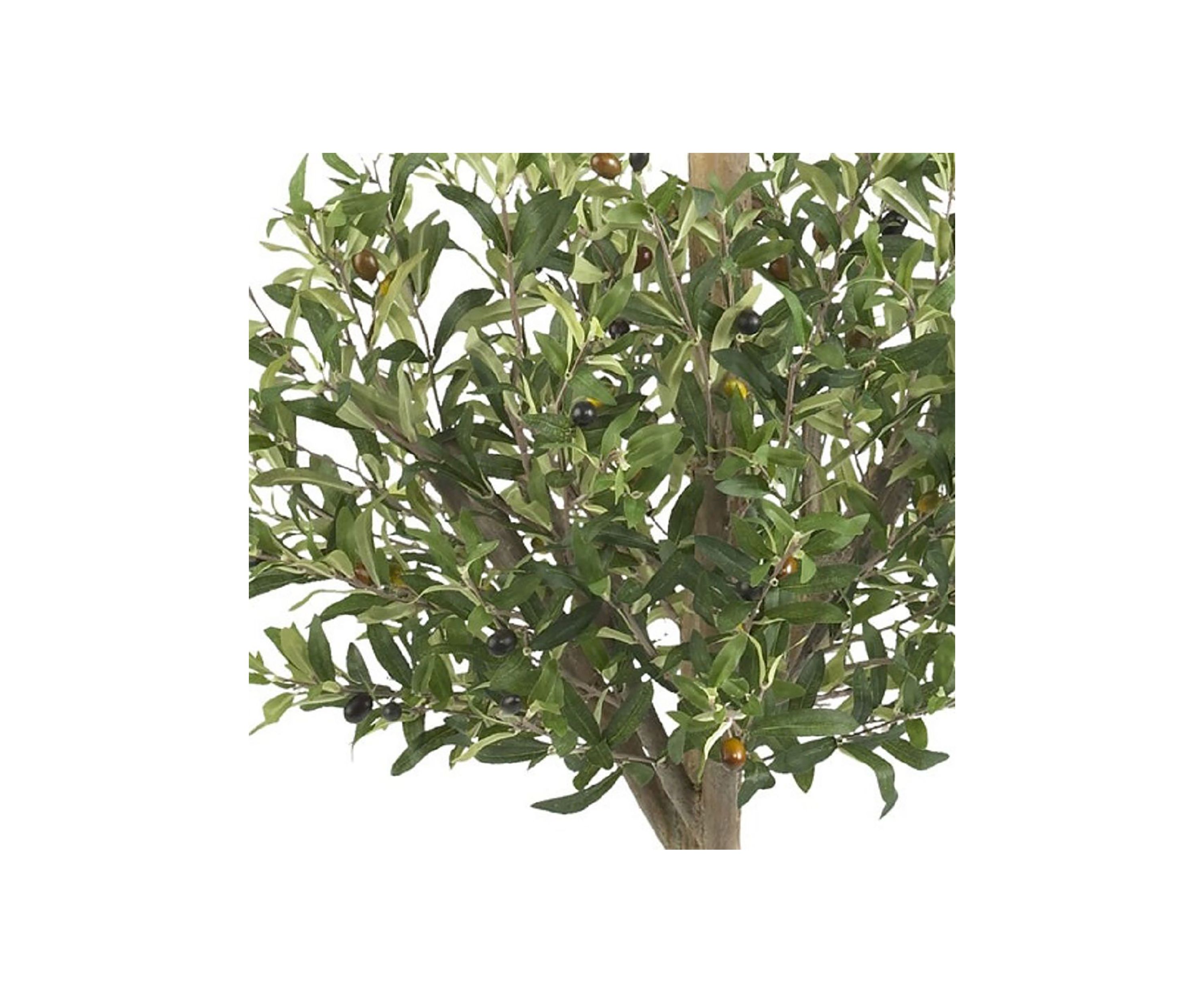 4.5 Olive Double Topiary Silk Tree