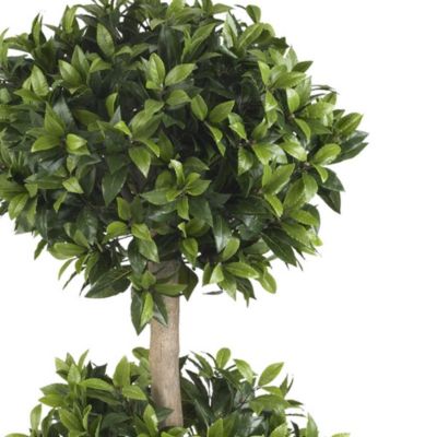 57" Sweet Bay Double Ball Topiary Silk Tree