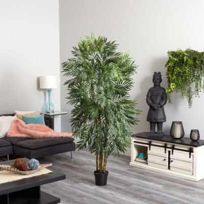 6' Bella Palm Silk Tree