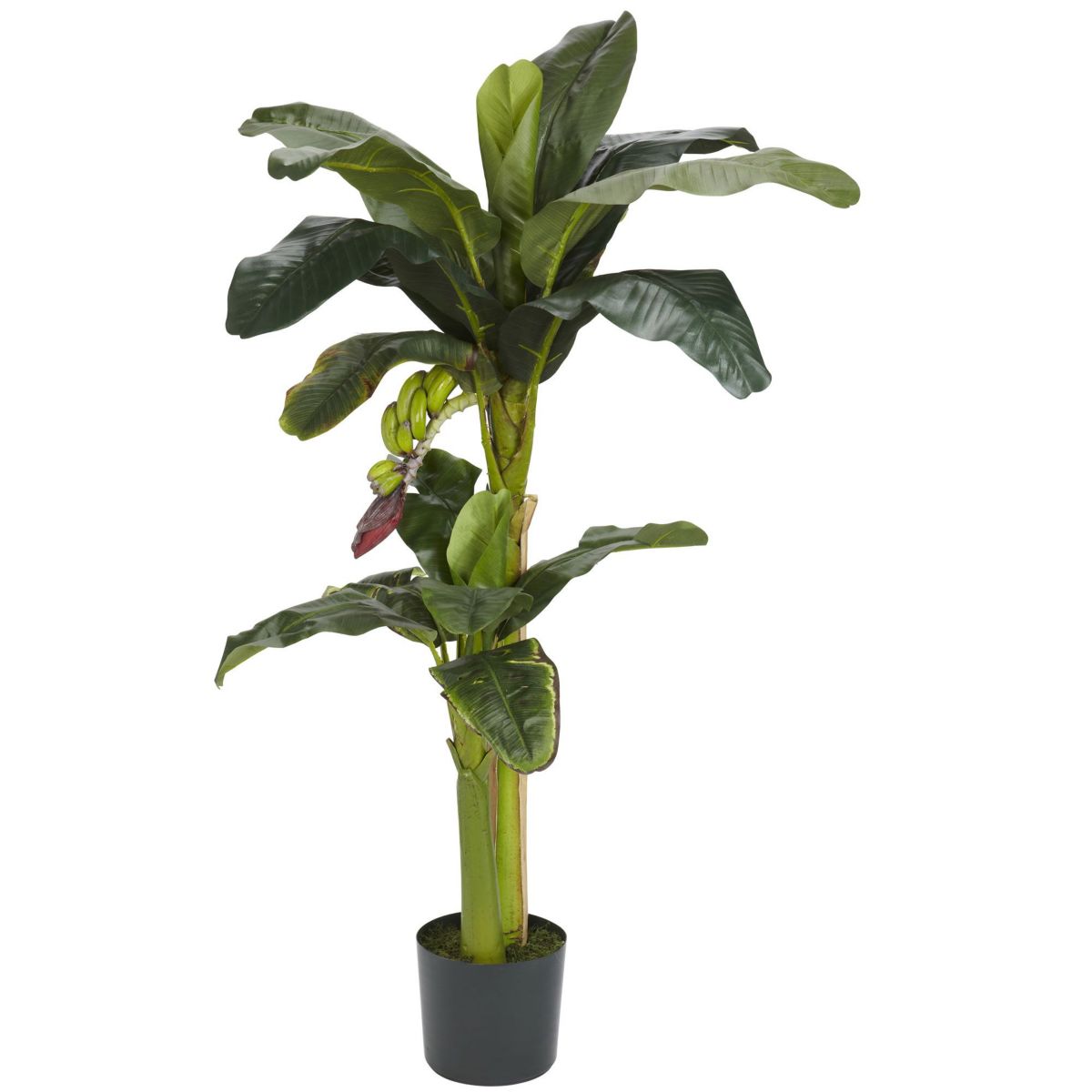 5 + 3 Banana Silk Tree with Bananas