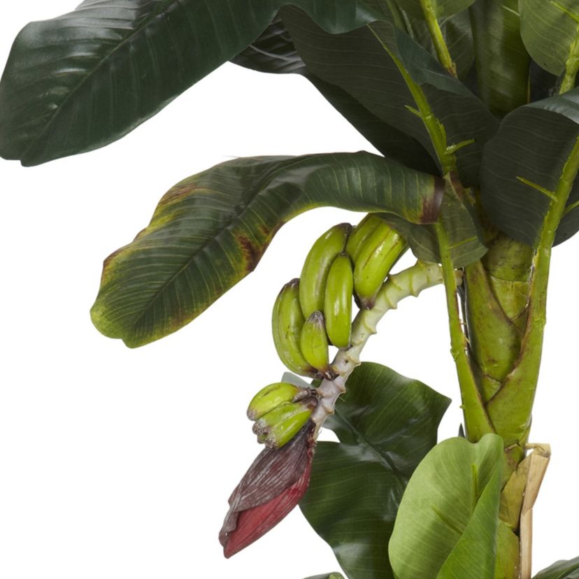 5 + 3 Banana Silk Tree with Bananas