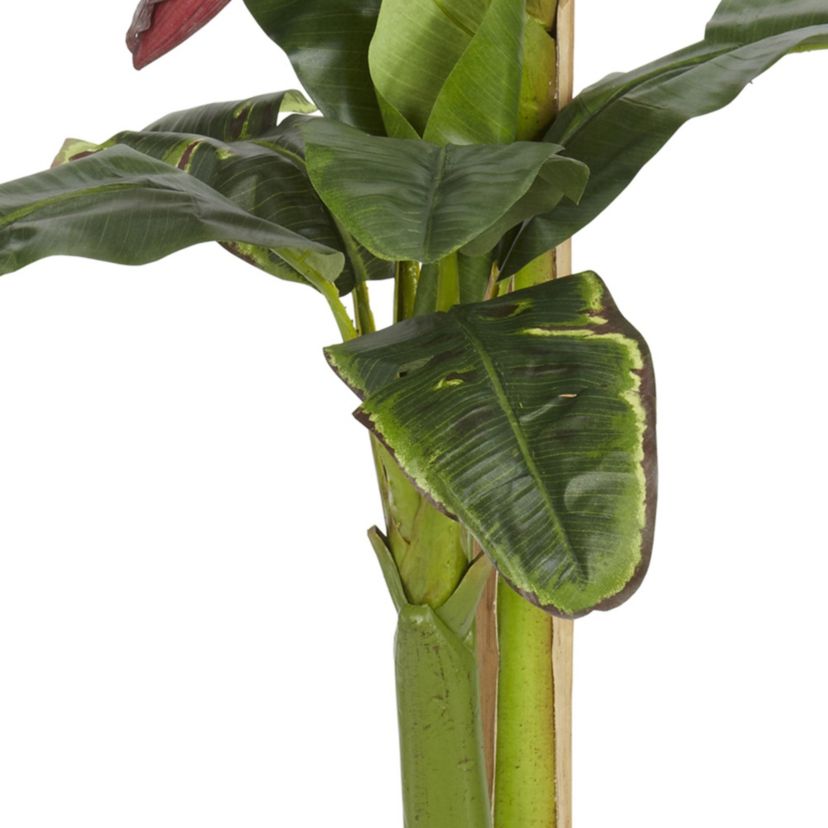 5 + 3 Banana Silk Tree with Bananas