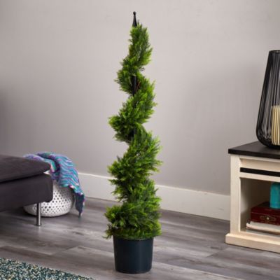 4-Foot Cypress Spiral Silk Tree