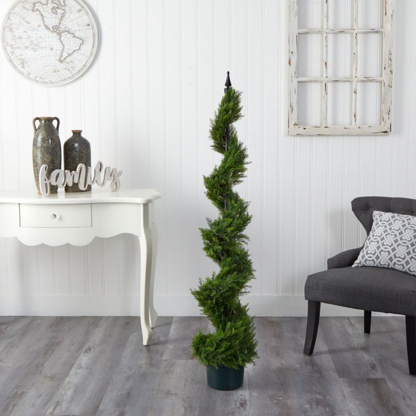 5 Cypress Spiral Tree