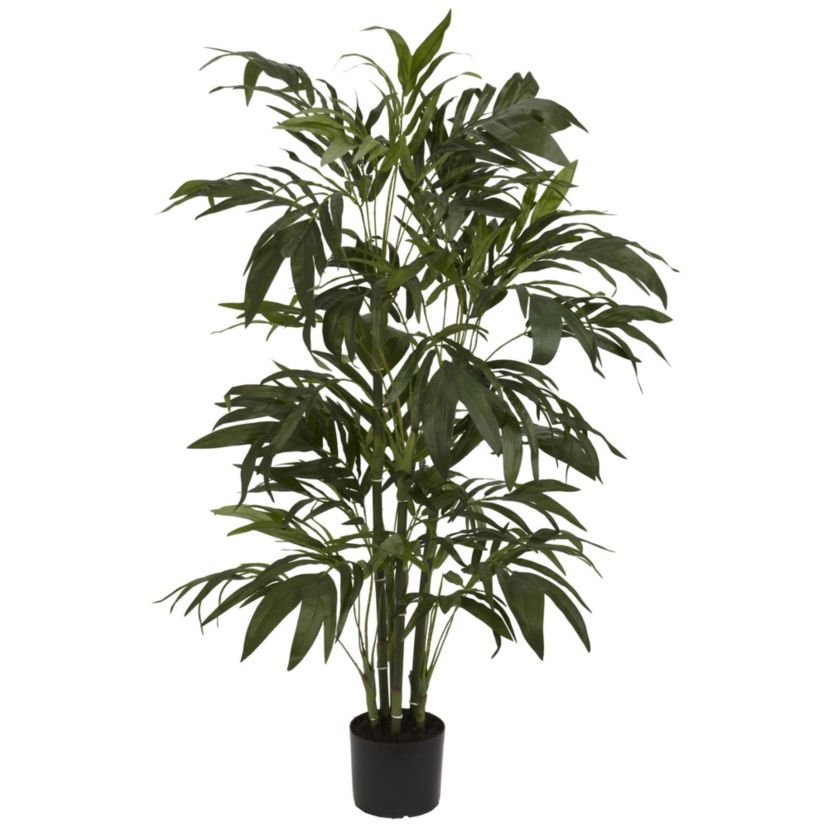 4 Bamboo Palm Silk Tree