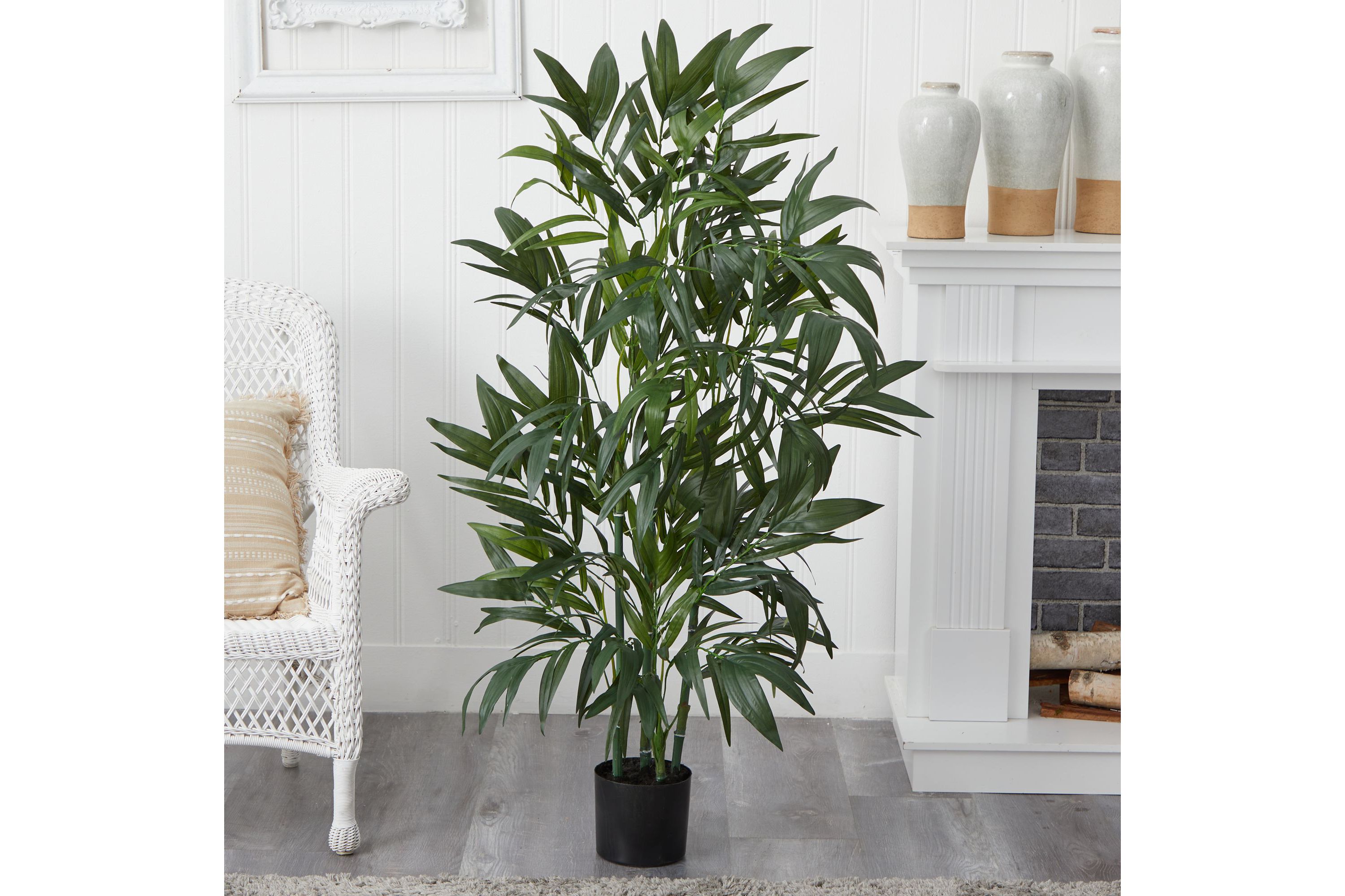 4 Bamboo Palm Silk Tree