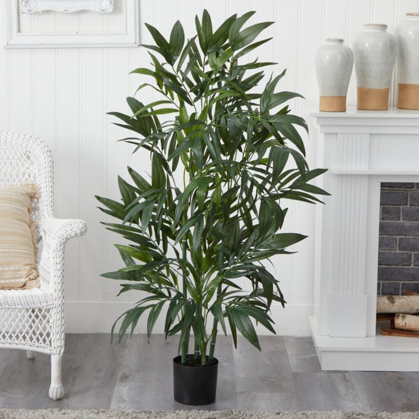 4 Bamboo Palm Silk Tree