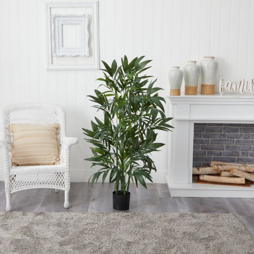 4 Bamboo Palm Silk Tree