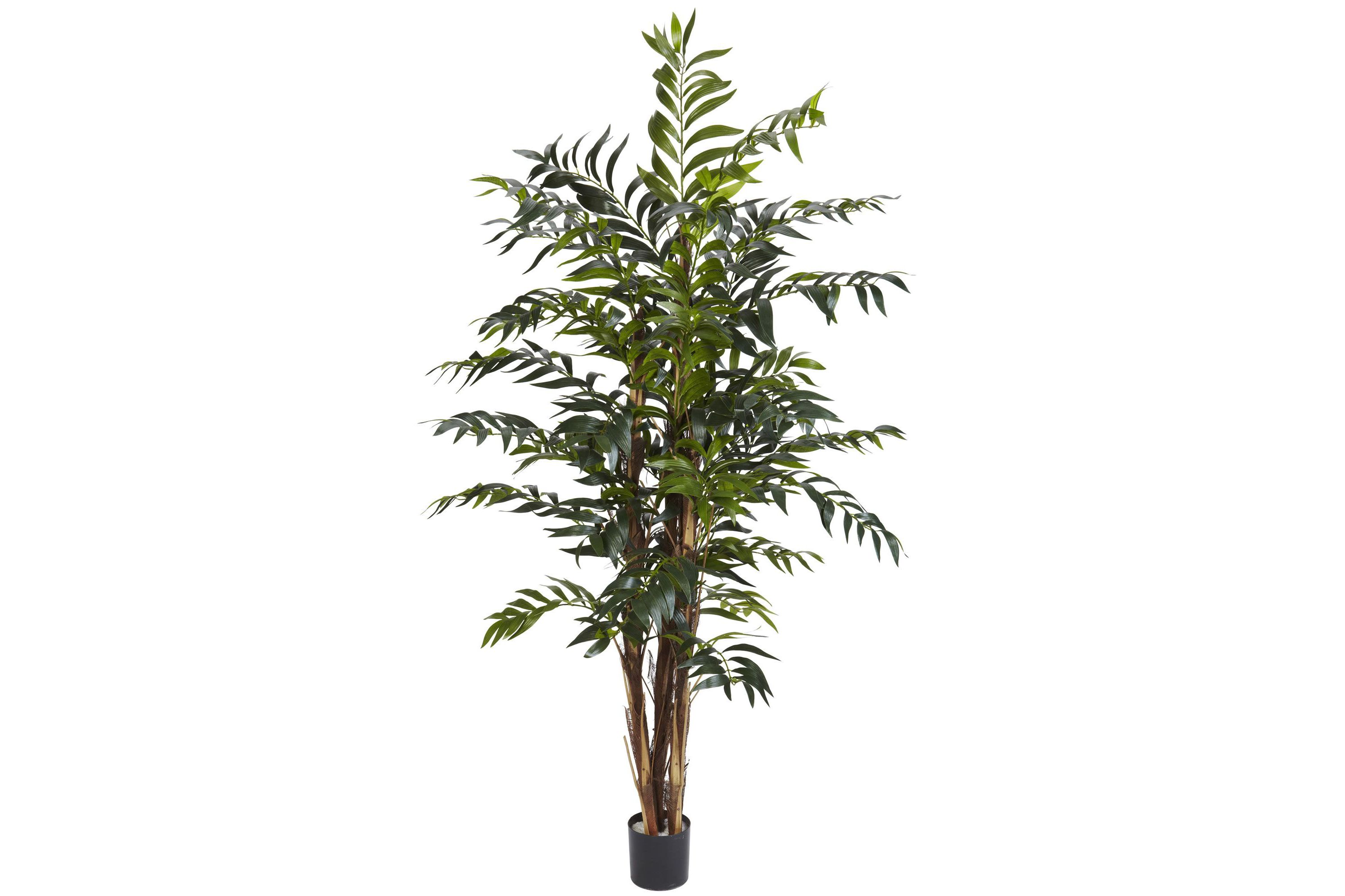 5-Foot Bamboo Palm Silk Tree