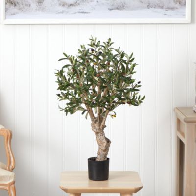 2.5' Olive Silk Tree